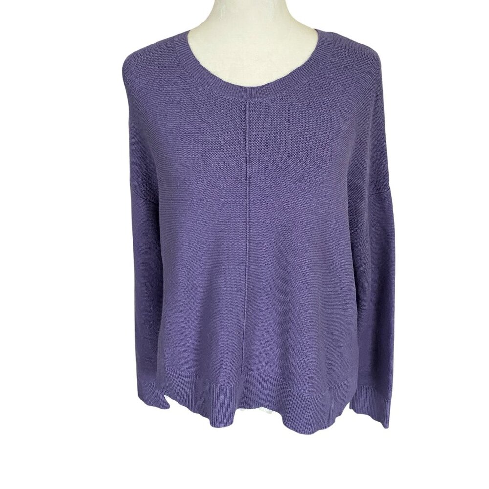 J.Jill women's XS oversized purple long sleeve crewneck sweater top wint…